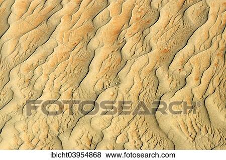 "Patterns in the sand, Sossusvlei, Namib Desert, Namib-Skeleton Coast National Park, Namibia, Africa" View Large Photo Image Stock Photo - "Patterns in the sand, Sossusvlei, Namib Desert, Namib-Skeleton Coast National Park, Namibia, Africa". Fotosearch