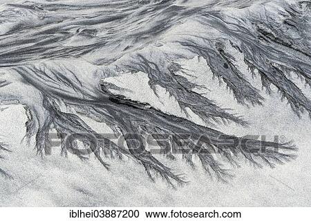 Patterns in the sand View Large Photo Image Stock Image - Patterns in the sand. Fotosearch