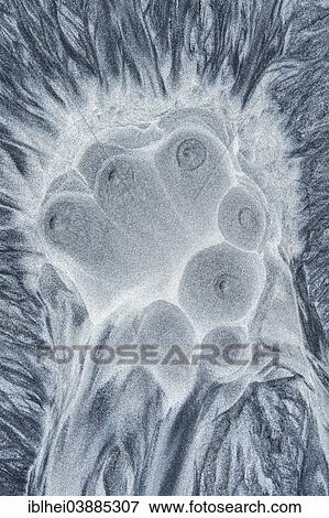 Stock Photo - Patterns in the sand. Fotosearch