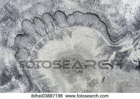 Patterns in the sand View Large Photo Image Stock Photograph - Patterns in the sand. Fotosearch