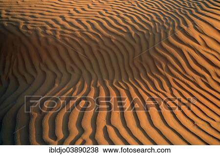 "Patterns of the sand dunes of the Wahiba Sands desert, also known as Ramlat al-Wahiba or Sharqiya Sands, in evening light, Hawiyah, Ash Sharqiyah, Oman, Asia" View Large Photo Image Stock Photo - "Patterns of the sand dunes of the Wahiba Sands desert, also known as Ramlat al-Wahiba or Sharqiya Sands, in evening light, Hawiyah, Ash Sharqiyah, Oman, Asia". Fotosearch