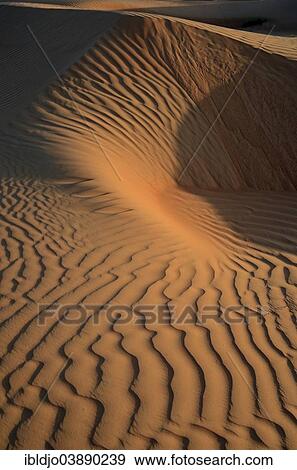 "Patterns of the sand dunes of the Wahiba Sands desert, also known as Ramlat al-Wahiba or Sharqiya Sands, in evening light, Hawiyah, Ash Sharqiyah, Oman, Asia" View Large Photo Image Stock Photo - "Patterns of the sand dunes of the Wahiba Sands desert, also known as Ramlat al-Wahiba or Sharqiya Sands, in evening light, Hawiyah, Ash Sharqiyah, Oman, Asia". Fotosearch