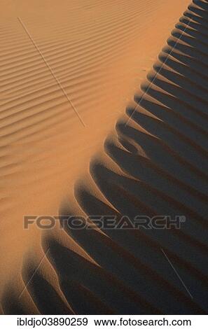 "Patterns of the sand dunes of the Wahiba Sands desert, also known as Ramlat al-Wahiba or Sharqiya Sands, in morning light, Hawiyah, Ash Sharqiyah, Oman, Asia" View Large Photo Image Stock Photo - "Patterns of the sand dunes of the Wahiba Sands desert, also known as Ramlat al-Wahiba or Sharqiya Sands, in morning light, Hawiyah, Ash Sharqiyah, Oman, Asia". Fotosearch