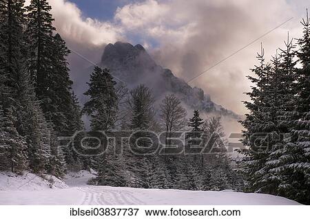 "Peak of Mt Aggenstein engulfed in clouds with a winter forest, Pfronten, Ostallgau, Allgau, Bavaria, Germany, Europe" View Large Photo Image Stock Photo - "Peak of Mt Aggenstein engulfed in clouds with a winter forest, Pfronten, Ostallgau, Allgau, Bavaria, Germany, Europe". Fotosearch