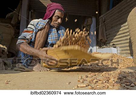 "Peanut roaster at work at the market of Allahabad, India, Asia" View Large Photo Image Picture - "Peanut roaster at work at the market of Allahabad, India, Asia". Fotosearch