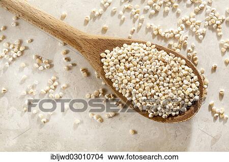 Pearl barley on a wooden spoon View Large Photo Image Picture - Pearl barley on a wooden spoon. Fotosearch