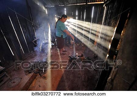 "Peasant farmer, 47, feeding chickens in the kitchen, Pastoreo, Caaguazu Department, Paraguay, South America" View Large Photo Image Stock Image - "Peasant farmer, 47, feeding chickens in the kitchen, Pastoreo, Caaguazu Department, Paraguay, South America". Fotosearch