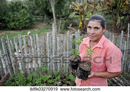 "Peasant farmer with seedlings, San Gregorio, Caaguazu Department, Paraguay, South America" View Large Photo Image Stock Photo - "Peasant farmer with seedlings, San Gregorio, Caaguazu Department, Paraguay, South America". Fotosearch