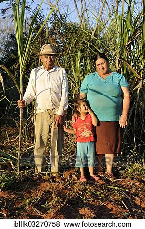 "Peasant farmers, man, 70, woman, 47, and granddaughter, 3, in front of a sugarcane plantation, Pastoreo, Caaguazu Department, Paraguay, South America" View Large Photo Image Stock Photo - "Peasant farmers, man, 70, woman, 47, and granddaughter, 3, in front of a sugarcane plantation, Pastoreo, Caaguazu Department, Paraguay, South America". Fotosearch