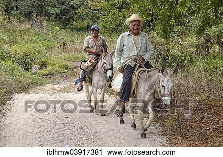 Stock Image - "Peasants riding donkeys, near Jalcomulco, Veracruz, Mexico, North America". Fotosearch