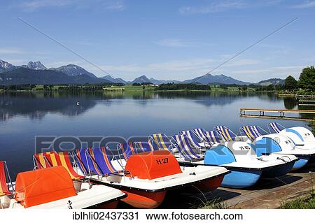 "Pedal boats, Hopfensee lake, Hopfen am See, Ostallgaeu, Allgaeu, Bavaria, Germany, Europe" View Large Photo Image Stock Image - "Pedal boats, Hopfensee lake, Hopfen am See, Ostallgaeu, Allgaeu, Bavaria, Germany, Europe". Fotosearch