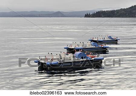 Stock Image - "Pedalos, boats, boat rentals, Lake Garda, Garda, Italy, Europe". Fotosearch