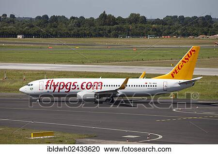 "Pegasus flypgs TC-AAJ Boeing 737-800 aircraft on the manoeuvring area, Duesseldorf International Airport, Duesseldorf, North Rhine-Westphalia, Germany, Europe" View Large Photo Image Stock Image - "Pegasus flypgs TC-AAJ Boeing 737-800 aircraft on the manoeuvring area, Duesseldorf International Airport, Duesseldorf, North Rhine-Westphalia, Germany, Europe". Fotosearch