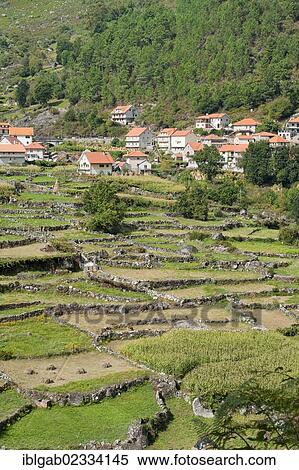"Peneda Geres National Park, Minho province, Portugal, Europe" View Large Photo Image Stock Photography - "Peneda Geres National Park, Minho province, Portugal, Europe". Fotosearch