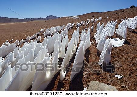 "Penitent snow, Altiplano, Potosi, Bolivia, South America" View Large Photo Image Stock Photo - "Penitent snow, Altiplano, Potosi, Bolivia, South America". Fotosearch