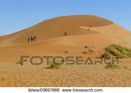 "People on a sand dune, Sossusvlei, Namib Desert, Namib Naukluft Park, Namibia, Africa" View Large Photo Image Stock Photograph - "People on a sand dune, Sossusvlei, Namib Desert, Namib Naukluft Park, Namibia, Africa". Fotosearch
