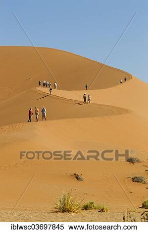 "People on a sand dune, Sossusvlei, Namib Desert, Namib Naukluft Park, Namibia, Africa" View Large Photo Image Stock Photography - "People on a sand dune, Sossusvlei, Namib Desert, Namib Naukluft Park, Namibia, Africa". Fotosearch
