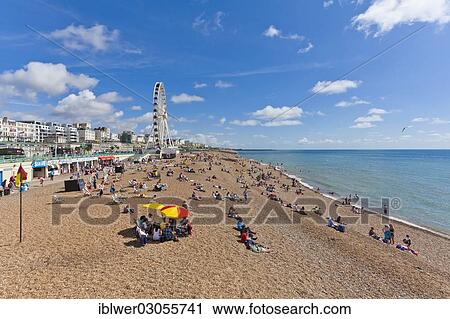 "People on the beach, beach life, Ferris wheel at back, Brighton, East Sussex, England, United Kingdom, Europe" View Large Photo Image Stock Image - "People on the beach, beach life, Ferris wheel at back, Brighton, East Sussex, England, United Kingdom, Europe". Fotosearch