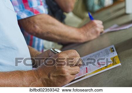 "People placing a bet just before a horse race, Dresden, Saxony, Germany, Europe" View Large Photo Image Stock Image - "People placing a bet just before a horse race, Dresden, Saxony, Germany, Europe". Fotosearch