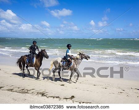 "People riding horses on the beach, near Vieux-Fort, Derriere Morne region, Saint Lucia, Leeward Antilles, Lesser Antilles, North America" View Large Photo Image Stock Photography - "People riding horses on the beach, near Vieux-Fort, Derriere Morne region, Saint Lucia, Leeward Antilles, Lesser Antilles, North America". Fotosearch
