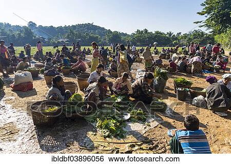 Stock Photograph - "People selling betel nuts at a market in the village of Pan Mraun, Sittwe District, Rakhine State, Myanmar, Asia". Fotosearch