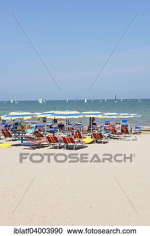 "People sunbathing on the beach, beach chairs, sunshades, sea, Senigallia, Province of Ancona, Marche, Adriatic, Italy, Europe" View Large Photo Image Stock Image - "People sunbathing on the beach, beach chairs, sunshades, sea, Senigallia, Province of Ancona, Marche, Adriatic, Italy, Europe". Fotosearch