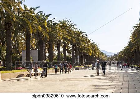 "People walking along the Palm Promenade, Salou, Catalonia, Spain, Europe" View Large Photo Image Stock Image - "People walking along the Palm Promenade, Salou, Catalonia, Spain, Europe". Fotosearch