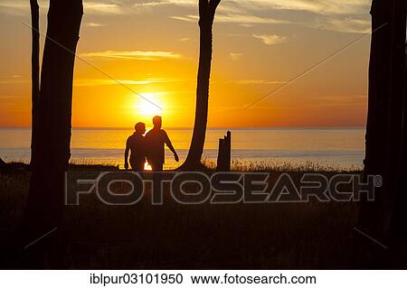 "People walking at sunset in the Ghost Forest along the coastal cliffs, Nienhagen, Mecklenburg-Western Pomerania, Germany, Europe" View Large Photo Image Stock Image - "People walking at sunset in the Ghost Forest along the coastal cliffs, Nienhagen, Mecklenburg-Western Pomerania, Germany, Europe". Fotosearch