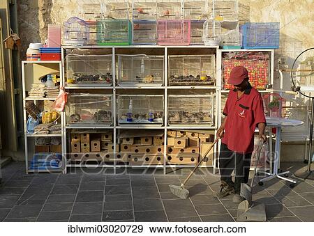 Stock Photo - "Pet market, cages, Souq al Waqif, oldest souq or bazaar in the country, Doha, Doha, Qatar, Asia". Fotosearch