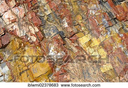 Stock Image - "Petrified trees, fossil wood, cross section, Petrified Forest State Park, Utah, Southwestern USA, USA". Fotosearch