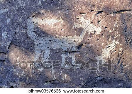 "Petroglyphs, animal representation, Salt River Canyon, Arizona, United States, North America" View Large Photo Image Stock Photograph - "Petroglyphs, animal representation, Salt River Canyon, Arizona, United States, North America". Fotosearch