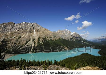 Stock Photography - "Peyto Lake in the Rocky Mountains, Banff National Park, Alberta Province, Canada, North America". Fotosearch