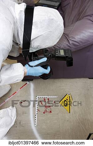 Stock Photograph - "Photographic securing of forensic evidence, by officer of the C. I. D., the Criminal Investigation Department, during the securing of forensic evidence at the scene of a crime, after a capital offence, homicide, re-enacted scene". Fotosearch