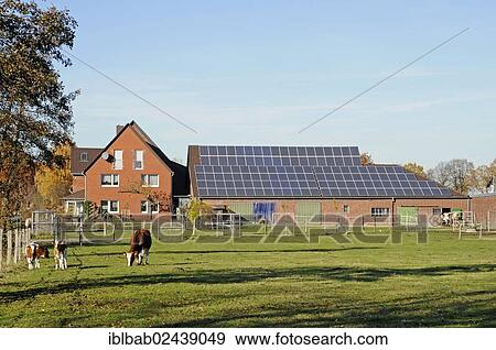 "Photovoltaic installation, solar power system, farm, barn, Werne, North Rhine-Westphalia, Germany, Europe, PublicGround, Europe" View Large Photo Image Stock Photo - "Photovoltaic installation, solar power system, farm, barn, Werne, North Rhine-Westphalia, Germany, Europe, PublicGround, Europe". Fotosearch