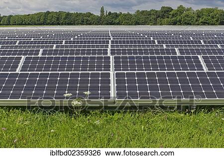"Photovoltaic modules in a meadow, Dresden, Saxony, Germany, Europe" View Large Photo Image Stock Photograph - "Photovoltaic modules in a meadow, Dresden, Saxony, Germany, Europe". Fotosearch