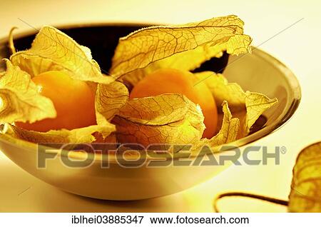Physalis in a bowl View Large Photo Image Stock Photo - Physalis in a bowl. Fotosearch