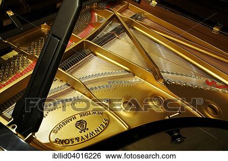 "Piano, grand piano Steinway & Sons" View Large Photo Image Stock Photograph - "Piano, grand piano Steinway & Sons". Fotosearch