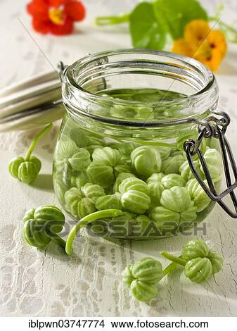 Picture - Pickled nasturtium seeds. Fotosearch