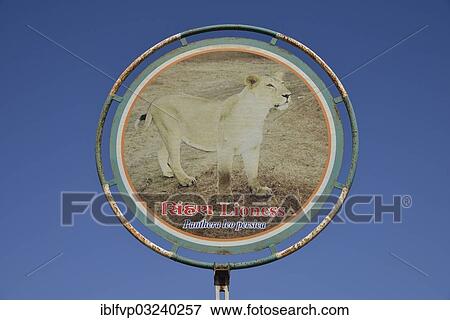 Stock Photo - "Picture of an Asiatic Lion on a sign at the entrance to the Gir National Park, Gir Forest National Park, Gir Sanctuary, Sasan Gir, Gujarat, India, Asia". Fotosearch