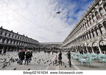 Picture - "Pigeons in St. Mark's Square, Procuratie, San Marco, Venice, Venice, Veneto, Italy, Europe". Fotosearch