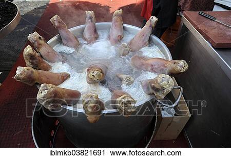 "Pigs' feet boiling in a large pot at the annual All Saints Market in Cocentaina, Alicante province, Spain, Europe" View Large Photo Image Stock Image - "Pigs' feet boiling in a large pot at the annual All Saints Market in Cocentaina, Alicante province, Spain, Europe". Fotosearch