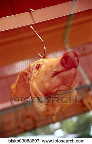 Pig's head in a display window on a hook View Large Photo Image Stock Photo - Pig's head in a display window on a hook. Fotosearch