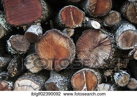 "Pile of wood, firewood, Provence, Provence-Alpes-Cote, France, Europe" View Large Photo Image Stock Image - "Pile of wood, firewood, Provence, Provence-Alpes-Cote, France, Europe". Fotosearch