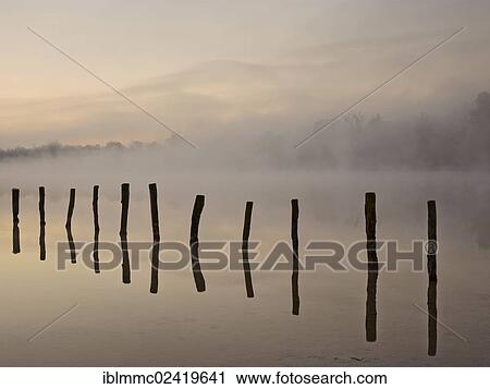 Stock Image - Piles in Kuhsee lake with fog, Augsburg, Swabia, Bavaria, Germany, Europe. Fotosearch