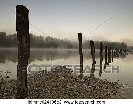 Piles in Kuhsee lake with fog, Augsburg, Swabia, Bavaria, Germany, Europe View Large Photo Image Stock Image - Piles in Kuhsee lake with fog, Augsburg, Swabia, Bavaria, Germany, Europe. Fotosearch