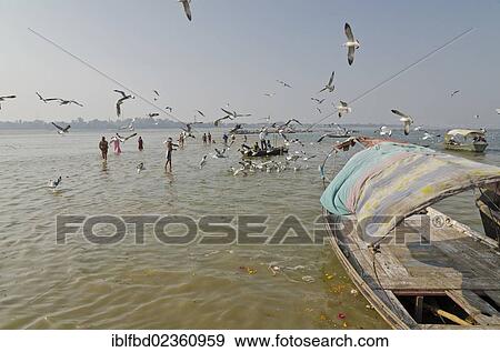 "Pilgrims standing in the water at Sangam, the confluence of the holy rivers Ganges, Yamuna and Saraswati, Allahabad, India, Asia" View Large Photo Image Stock Photo - "Pilgrims standing in the water at Sangam, the confluence of the holy rivers Ganges, Yamuna and Saraswati, Allahabad, India, Asia". Fotosearch