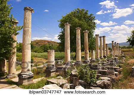 "Pillars of the Roman South Agora, Aphrodisias archaeological site, Aydin province, Turkey, Asia" View Large Photo Image Stock Photo - "Pillars of the Roman South Agora, Aphrodisias archaeological site, Aydin province, Turkey, Asia". Fotosearch