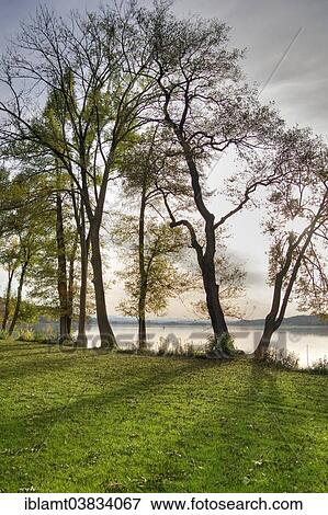 "Pilsensee lake, Seefeld, Funfseenland, Upper Bavaria, Bavaria, Germany, Europe" View Large Photo Image Stock Photo - "Pilsensee lake, Seefeld, Funfseenland, Upper Bavaria, Bavaria, Germany, Europe". Fotosearch
