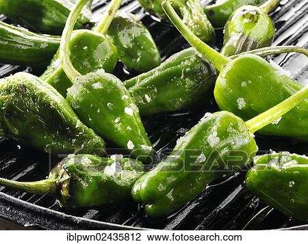 Stock Image - "Pimientos de Padron, grilled peppers with sea salt". Fotosearch