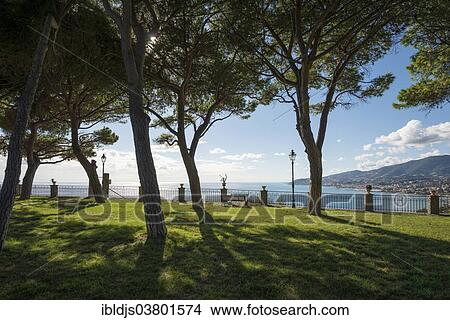 "Pine and coast at Sanremo, Imperia, Riviera dei Fiori, Liguria, Italy Province" View Large Photo Image Picture - "Pine and coast at Sanremo, Imperia, Riviera dei Fiori, Liguria, Italy Province". Fotosearch